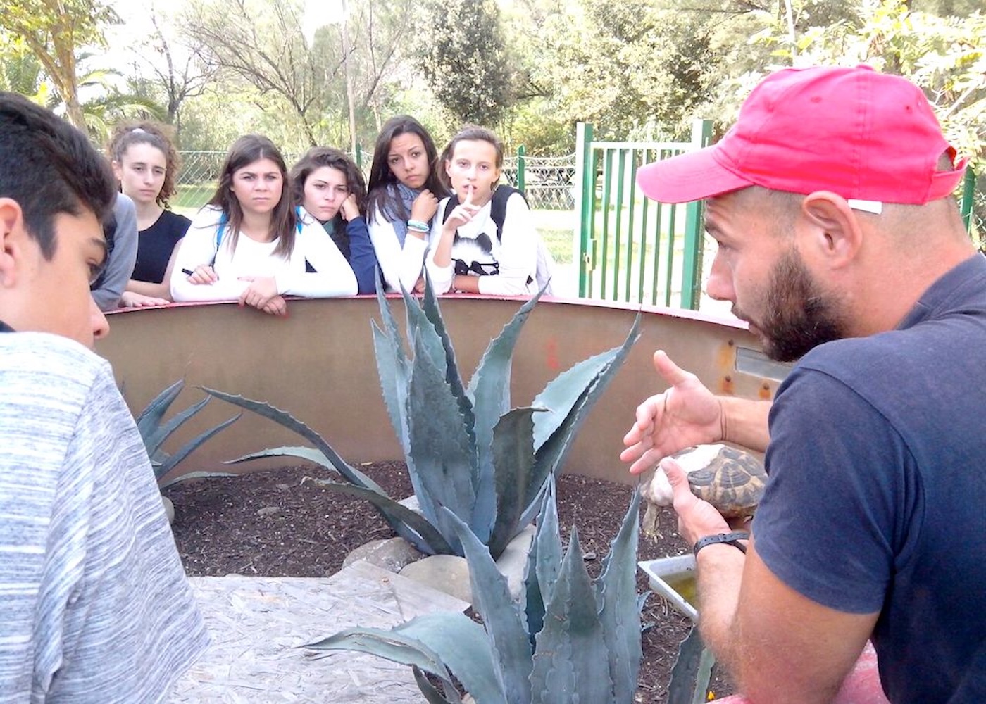 castroboleto